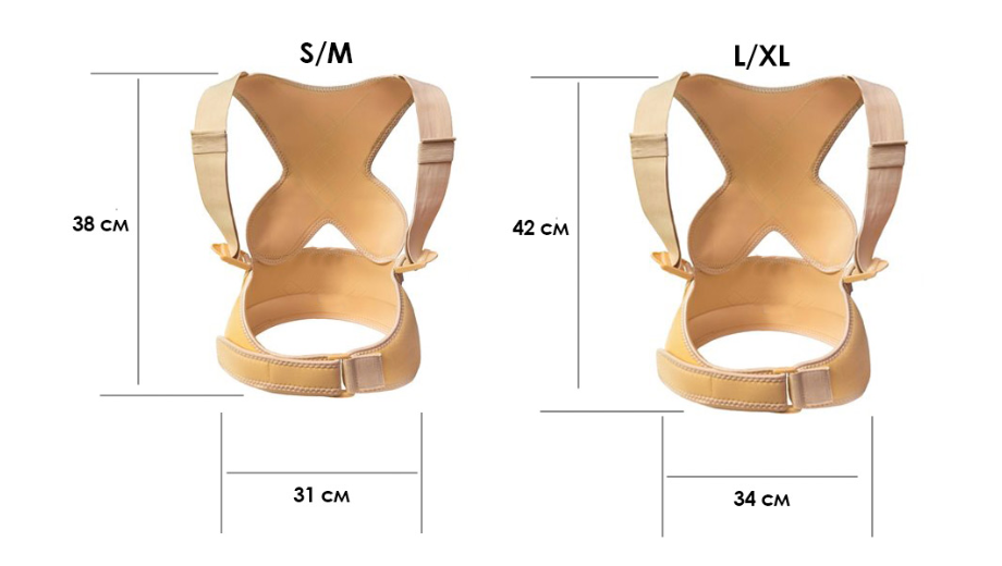 Стабілізатор спини для підтримки постави L / XL