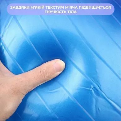 Фитбол, мяч для фитнеса с насосом (d=65см) (5705)