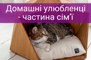 Догляд за домашніми тваринами: що потрібно?