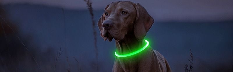 Светодиодный LED ошейник для собак с зарядкой USB (8158)